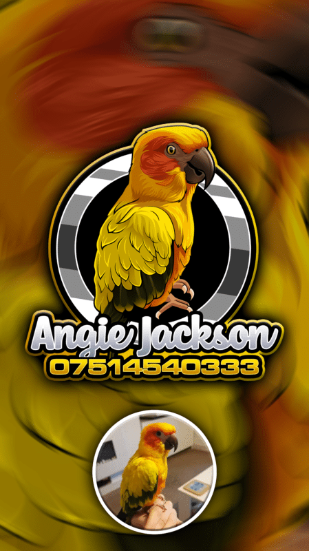 Hand drawn animal macsot logo design