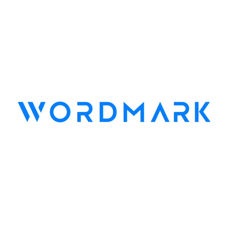 Wordmark logo design example — custom bold typography spelling out a business name