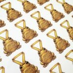 I Survived Potters Choccy Frogs die-cut sticker sheet