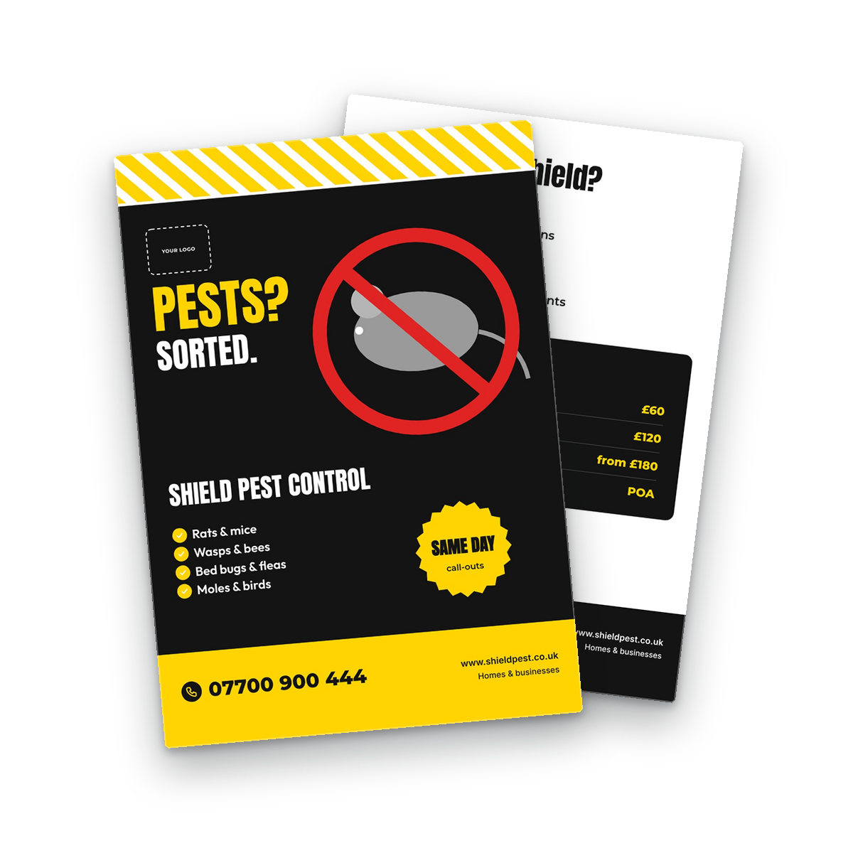 Pest Control Flyer Template front and back Pest Control Flyer Template front and back